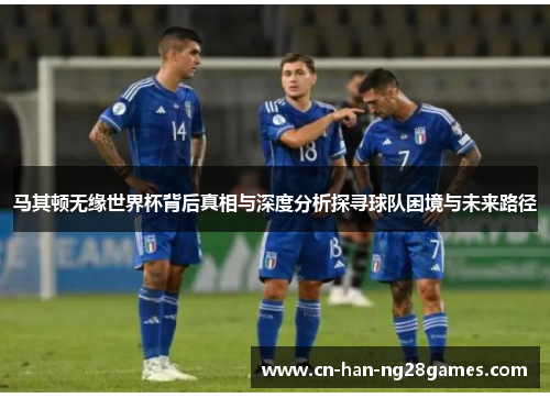 马其顿无缘世界杯背后真相与深度分析探寻球队困境与未来路径