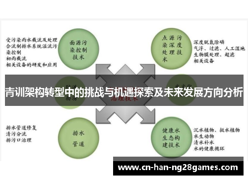 青训架构转型中的挑战与机遇探索及未来发展方向分析
