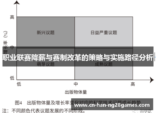 职业联赛降薪与赛制改革的策略与实施路径分析