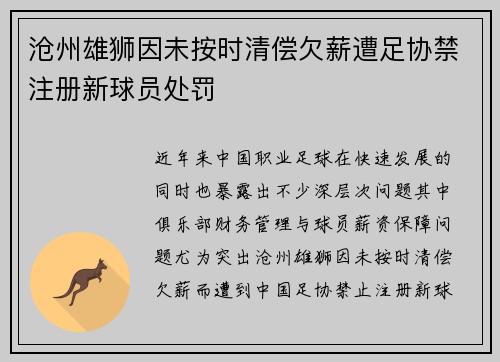 沧州雄狮因未按时清偿欠薪遭足协禁注册新球员处罚